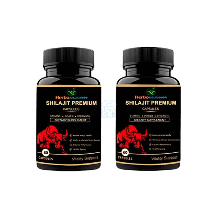 Shilajit Premium Capsules - शक्ति के लिए कैप्सूल रायपुर में